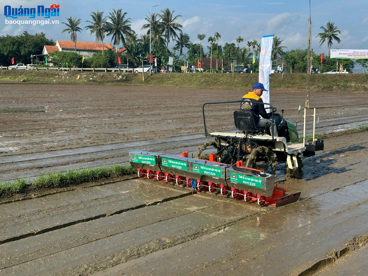 Cluster rice seeder.