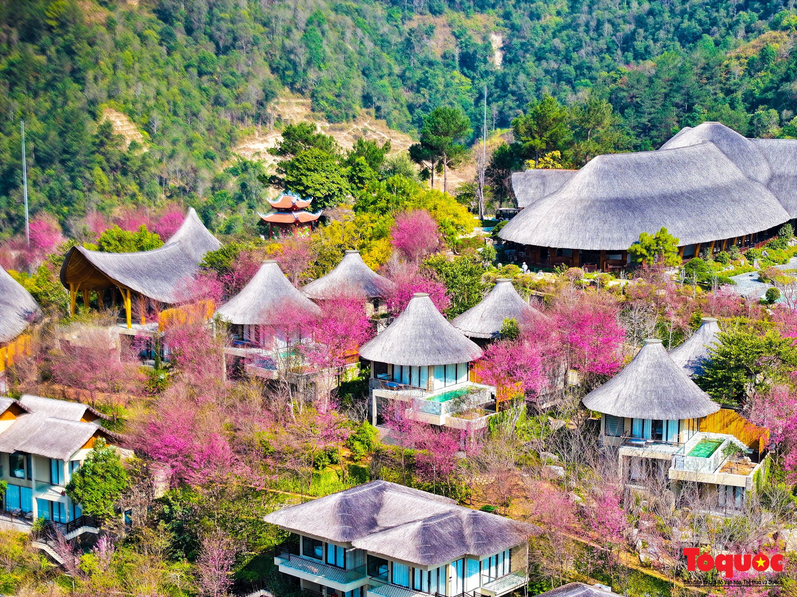 Las flores gruesas tiñen de rosa la aldea de Mu Cang Chai - Foto 11.