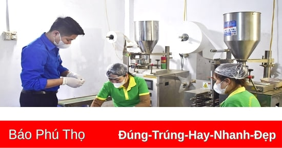 Thanh niên sống đẹp, sống có ích