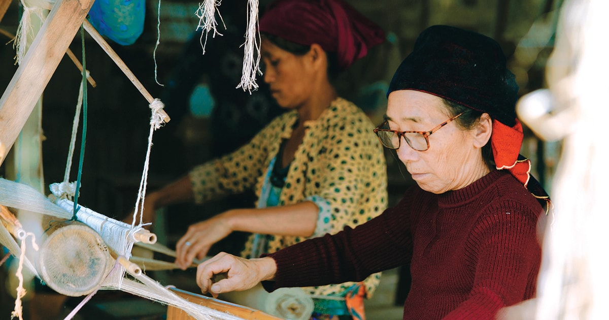 ជីវិតរស់រវើកនៃ brocade