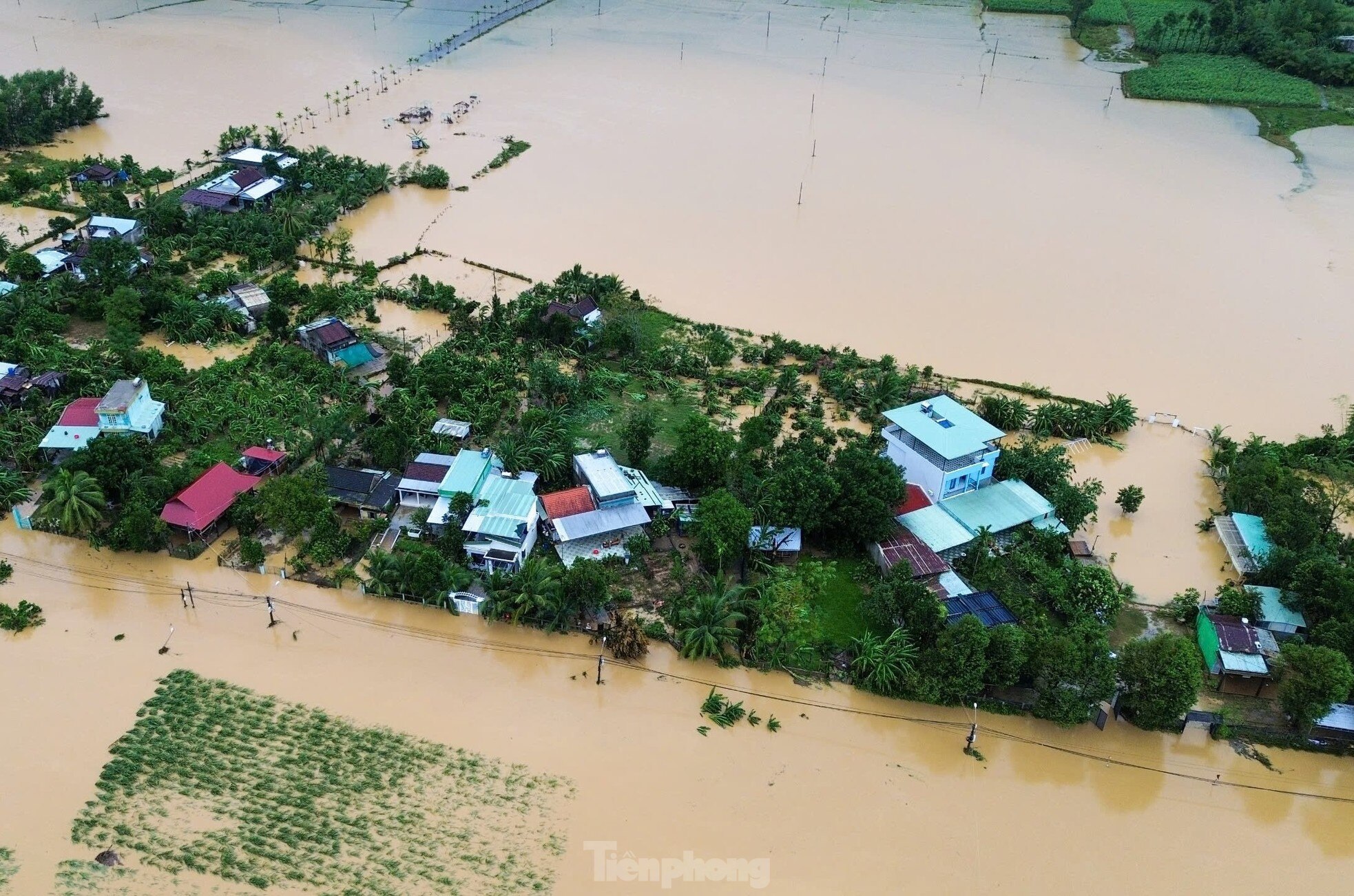 ផ្ទះ​រាប់សិប​ខ្នង​នៅ​ទីក្រុង Da Nang ត្រូវ​ខ្យល់​បក់​ដំបូល ដើមឈើ​ជាង​៩០០​ដើម​បាន​រលំ​ដោយសារ​ខ្យល់ព្យុះ​លេខ​៦ រូបថត​ទី​៣