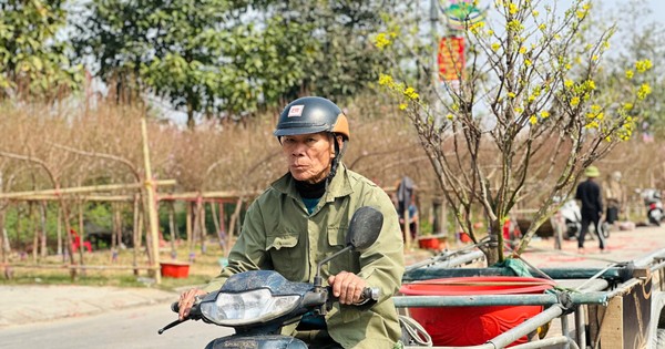 អាជីព​ដឹក​តេត​ទៅ​គ្រប់​ផ្ទះ​រក​ចំណូល​បាន​រាប់​លាន​ជា​រៀង​រាល់​ថ្ងៃ