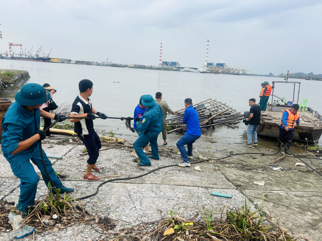 Yen Giang Ward organisierte das Einsammeln der Flöße, die nach Sturm Nr. 3 in die Ortschaft trieben. Foto: Ngo Dieu