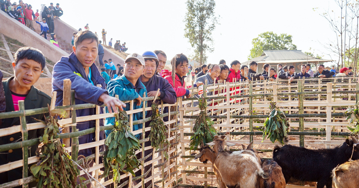 At the end of the year, going to Hanh Thuong market, sellers charge 0 VND, buyers have full Tet gifts