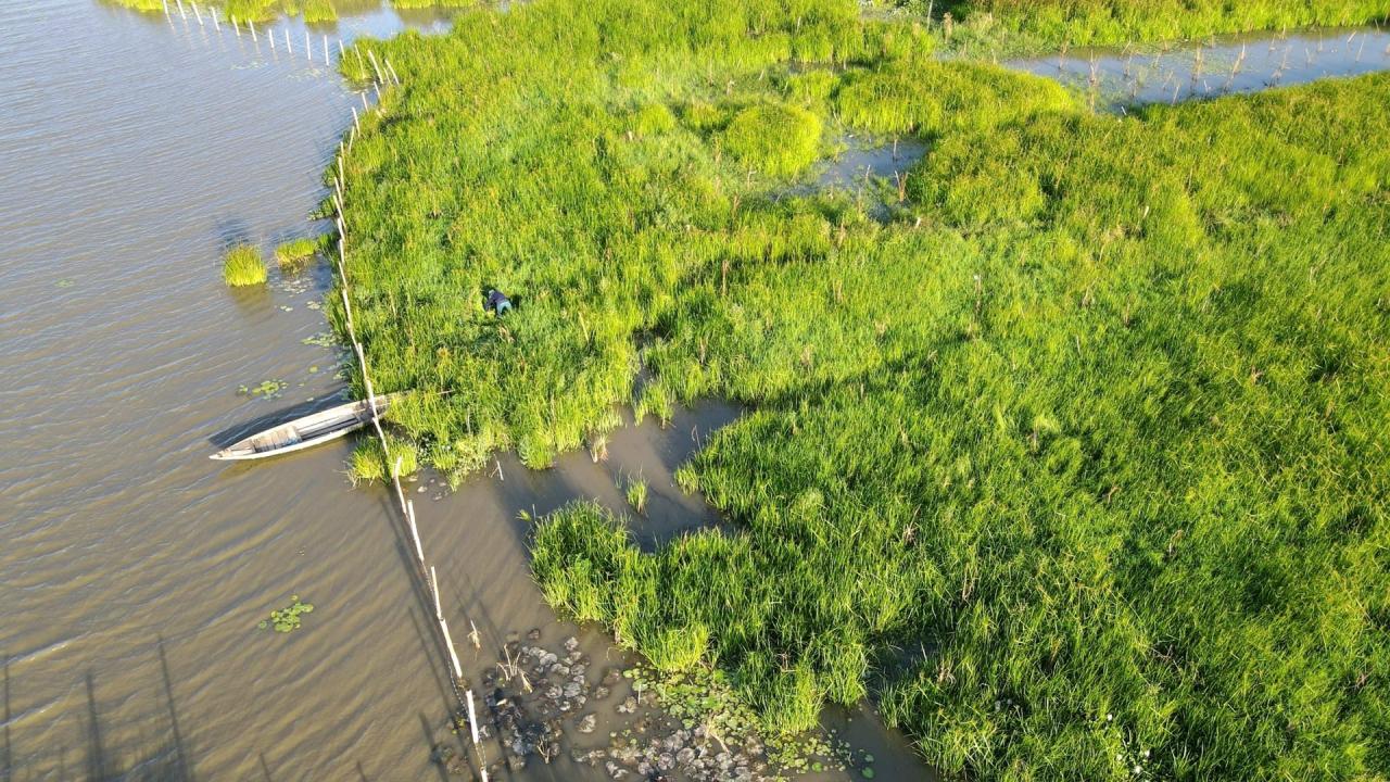 バイサイ・ソンダム（タムキー）は生物多様性に富んでいるが、定期的に観光客が訪れることはない。写真: Q.T