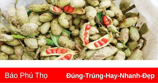 Mùa dổi chín