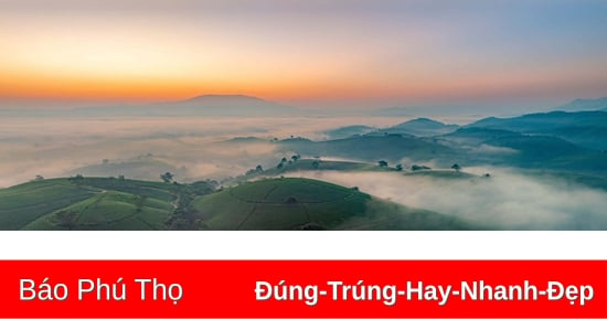 Dawn on the "upside down bowl" tea hills in Phu Tho