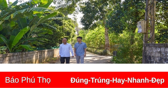 Chủ tịch Hội Người cao tuổi tâm huyết, trách nhiệm