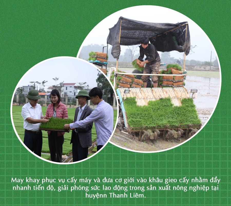 ការអភិវឌ្ឍឧស្សាហកម្មកែច្នៃ លើកកម្ពស់ផលិតកម្មទំនិញកសិកម្ម