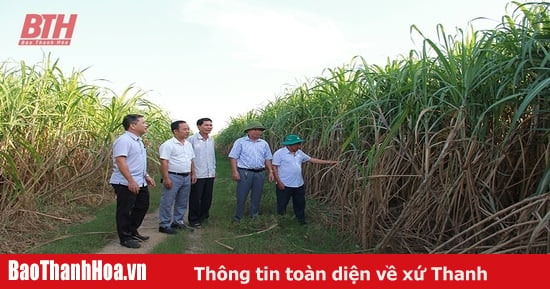 Nông dân miền ngược thi đua sản xuất, kinh doanh giỏi