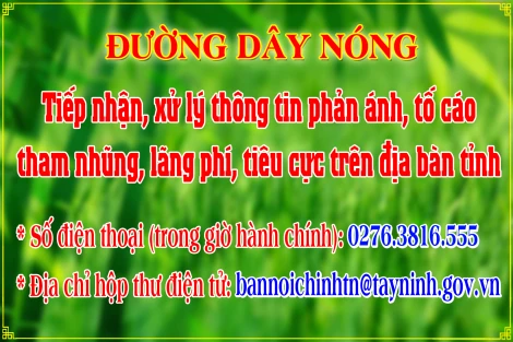 Tây Ninh công bố đường dây nóng tiếp nhận, xử lý thông tin phản ánh, tố cáo về tham nhũng, lãng phí, tiêu cực