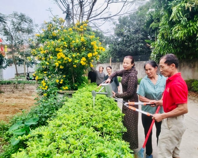 Một vùng quê nông thôn mới ở Vĩnh Phúc giàu, đẹp, đường hoa nông thôn mới sạch như phim- Ảnh 2.