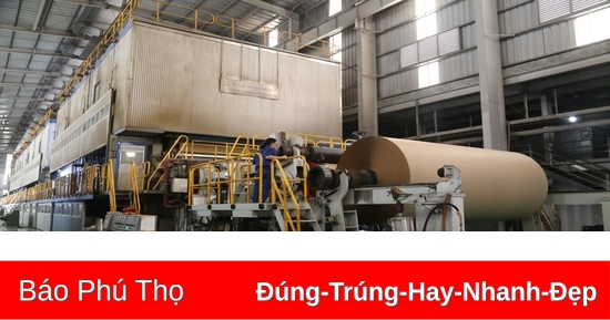 Lợi nhuận sau 9 tháng đạt 80,6 tỷ đồng