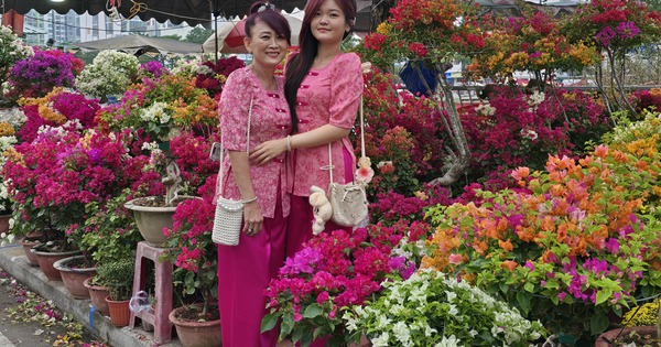 Opening of the spring flower market "on the wharf and under the boat"