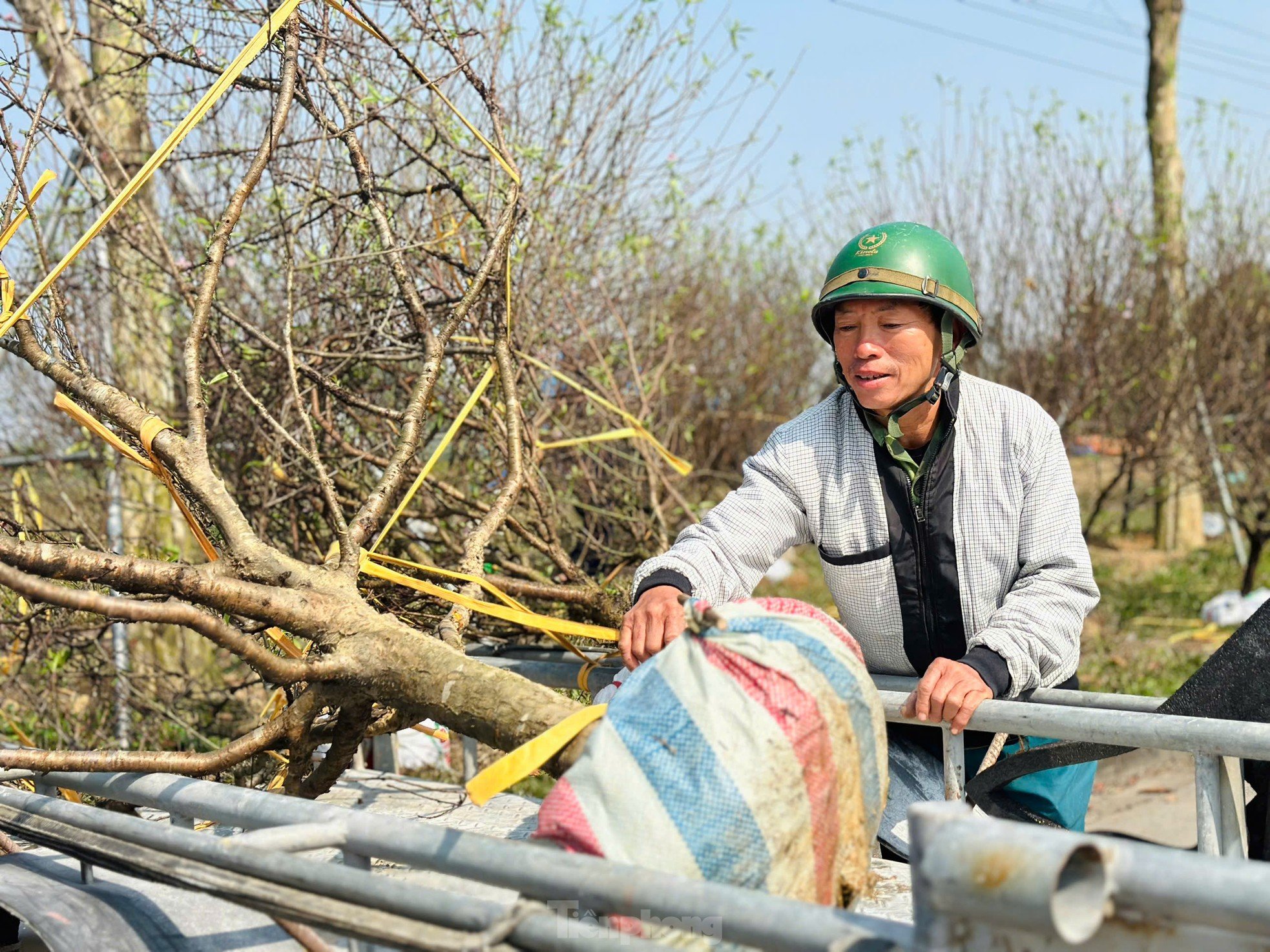 The profession of 'carrying Tet' to every home makes millions every day photo 6