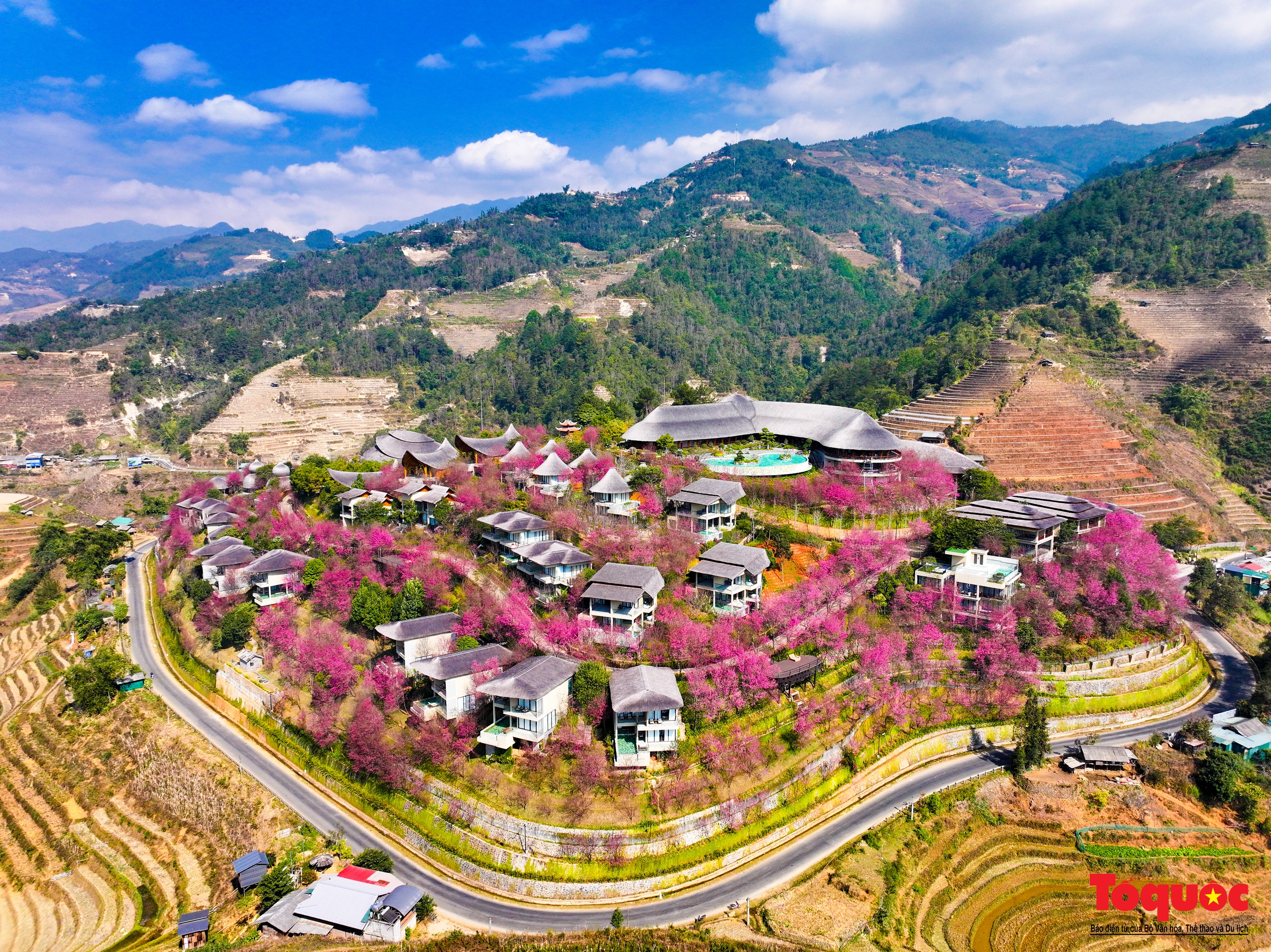 Las flores gruesas tiñen de rosa la aldea de Mu Cang Chai - Foto 10.