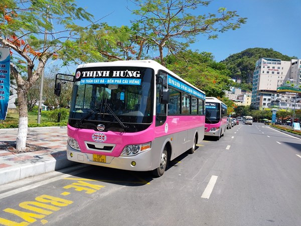 Augmenter la fréquence de la ligne de bus numéro 14 : Ville de Cat Ba