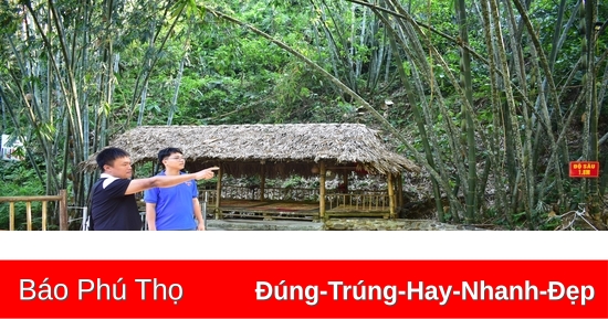 Thanh niên dân tộc Mường làm giàu trên mảnh đất quê hương