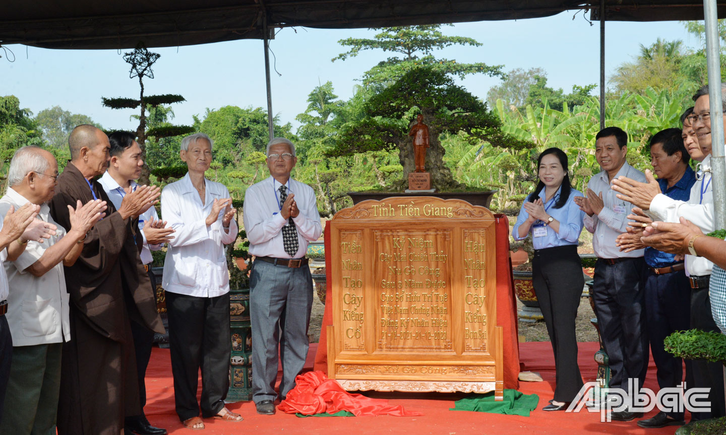 The Provincial Ornamental Plants Association in coordination with the People's Committee of Go Cong Tay district has just organized the opening ceremony of the ancient ornamental plant competition and display of bonsai Mai nu chieu thuy Go Cong Nhan, which has been recognized as a trademark for 3 years.