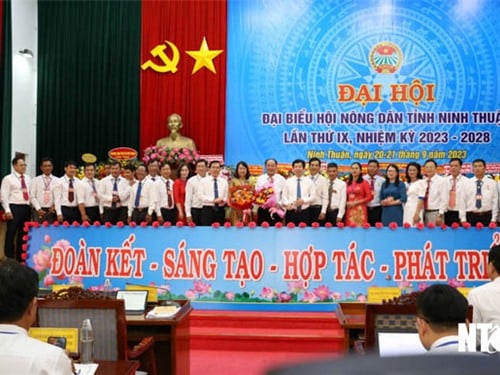 Hội Nông dân tỉnh tổ chức Đại hội lần thứ IX, nhiệm kỳ 2023-2028