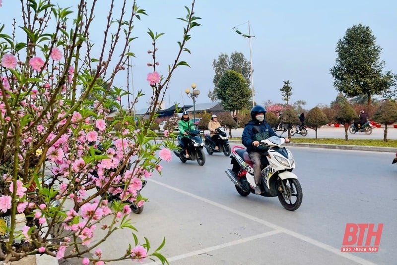 Wettervorhersage für die Provinz Thanh Hoa während des Neujahrsfestes