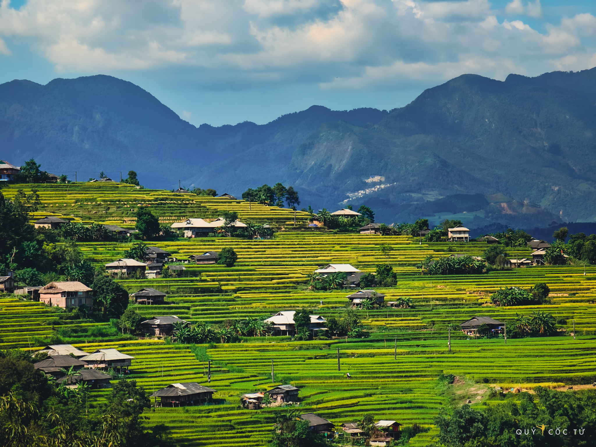 Als ich das Land von Ha Giang betrat, kamen die alten Erinnerungen eines erfahrenen Rucksacktouristen zurück. Von der einst furchterregenden Nan Ma-Straße, die jetzt asphaltiert ist, über die an den felsigen Hängen hängenden Terrassenfelder von Xin Man bis hin zum tiefen Tal, in dem der Fluss Nho Que fließt, geht die Entdeckungsreise weiter zu den Dörfern in Hoang Su Phi, die so schön sind wie Meisterwerke.