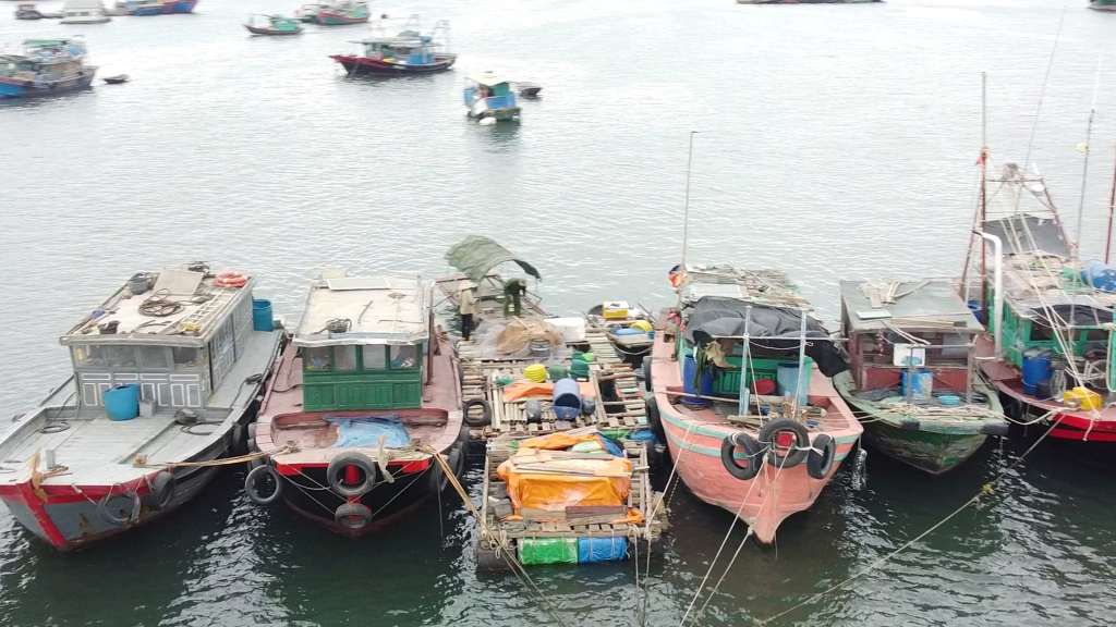 Toute la province compte encore de nombreuses localités dotées de nombreux bateaux de pêche.