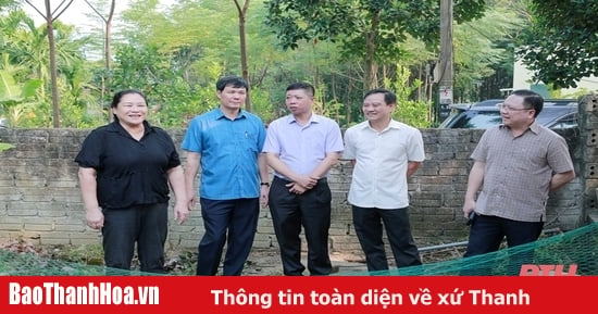 Khảo sát việc quản lý, sử dụng, bàn giao đất nông, lâm trường tại huyện Cẩm Thủy