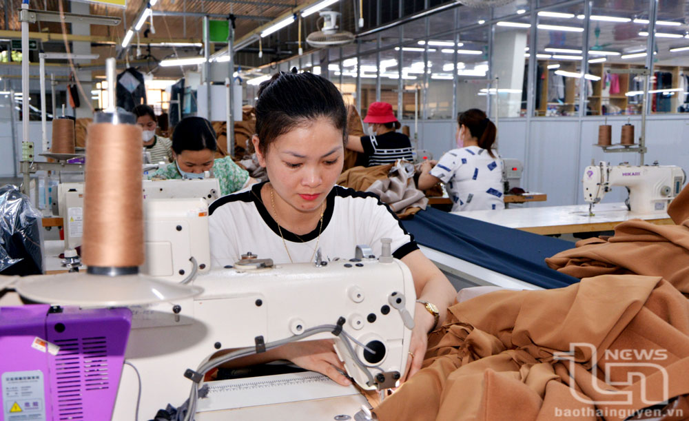 การตัดเย็บสินค้าส่งออกที่บริษัท TDT Investment and Development Joint Stock Company - Dai Tu Branch ภาพโดย: V.V 