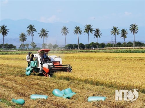 Secteur agricole : viser un taux de croissance de 4 à 5 % pour l'ensemble de l'année