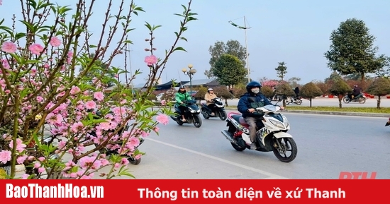 Wettervorhersage für die Provinz Thanh Hoa während des Neujahrsfestes