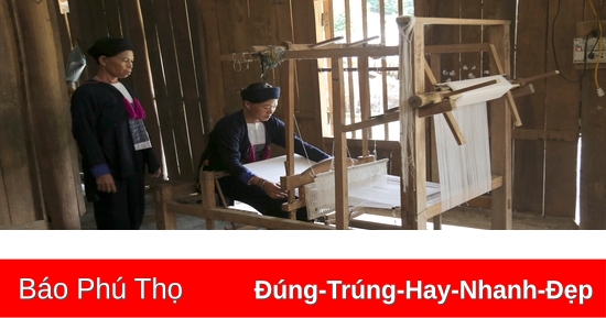 Trắng ngà sợi tơ Trà Chẩu