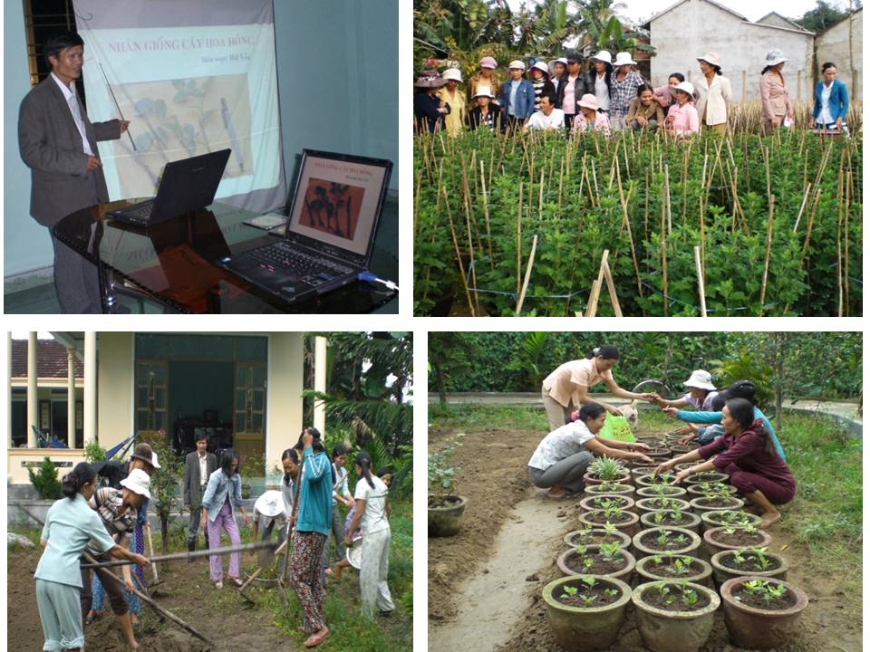 Clase de capacitación sobre el cultivo de flores y plantas ornamentales para mujeres en la comuna de Binh Thoi (ahora ciudad de Chau O, distrito de Binh Son, Quang Ngai).