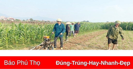 Sáng tạo nhà nông - khơi nguồn đổi mới