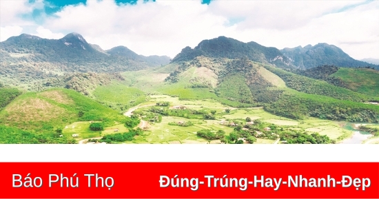 “Cây đại thụ” dưới chân đèo Đá Đẽo