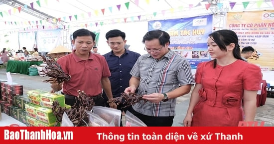 Khai mạc Phiên chợ thực phẩm an toàn năm 2024 tại huyện Hoằng Hóa