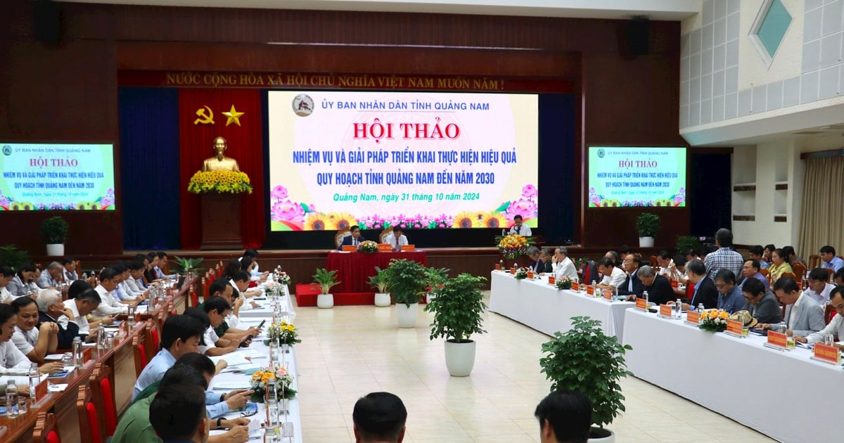 Suggestions pour une mise en œuvre efficace de la planification de la province de Quang Nam