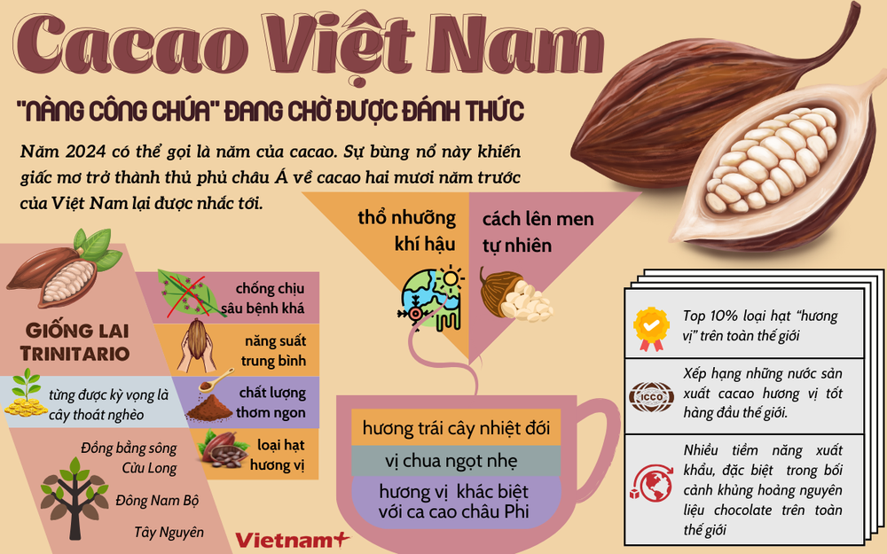 Cacao vietnamita.png