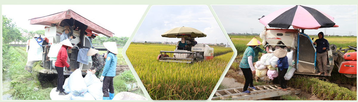 ការអភិវឌ្ឍឧស្សាហកម្មកែច្នៃ លើកកម្ពស់ផលិតកម្មទំនិញកសិកម្ម