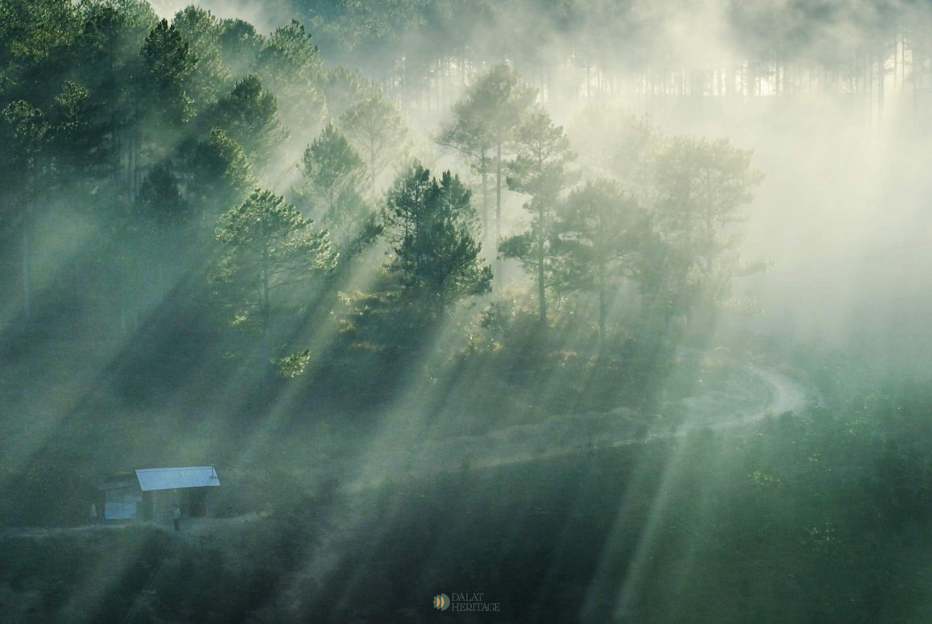 Vielleicht ein Bild von Nebel