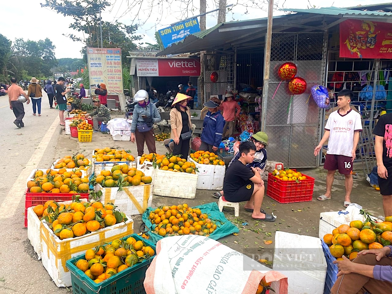 Đặc sản giống cam “lạ” Hương Sơn (Hà Tĩnh”, đắt như tôm tươi ngày cận Tết- Ảnh 8.