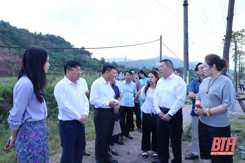 Phó Chủ tịch Thường trực UBND tỉnh làm việc với Hiệp hội Xuất nhập khẩu máy móc và sản phẩm điện tử Trung Quốc