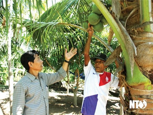 ប្រសិទ្ធ​ភាព​នៃ​គម្រោង​នាំ​បញ្ញវន្ត​យុវជន​ទៅ​ស្រុក​បាក​អៃ