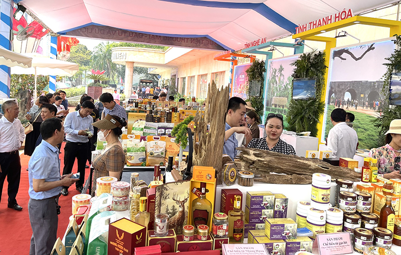 Kỳ vọng kết nối, hợp tác Thanh Hóa - TP Hồ Chí Minh