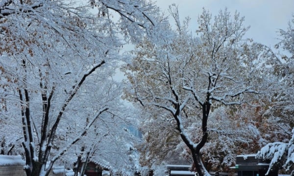 Vietnamesische Touristen freuen sich über den ersten Schnee der Saison in Seoul