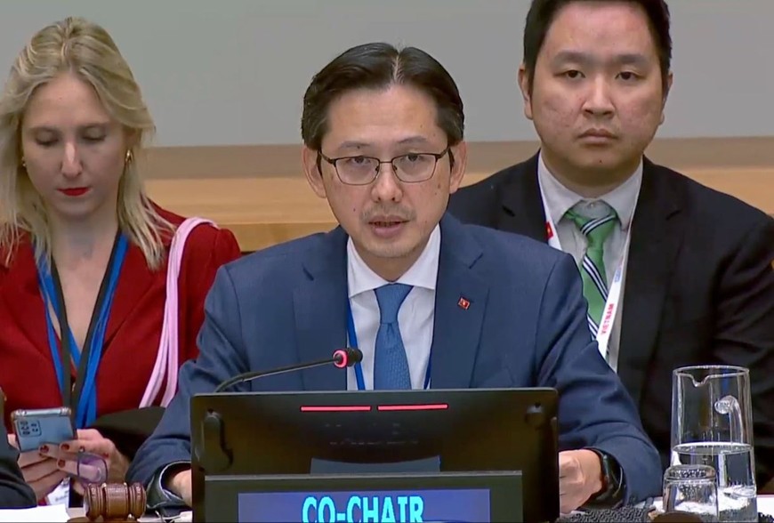 Deputy Minister of Foreign Affairs Do Hung Viet co-chaired the discussion session. Photo: DOAN CA