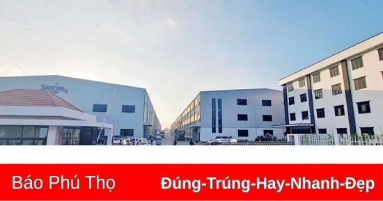 Phạt 180 triệu đồng công ty khiến hơn 100 công nhân ngộ độc