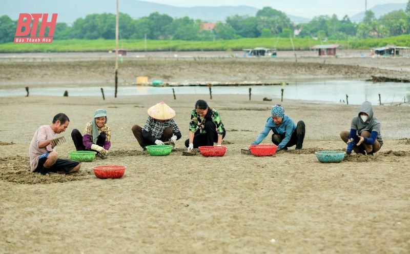 Nữ nông dân nuôi vàng trắng được vinh danh Nông dân Việt Nam xuất sắc năm 2024 