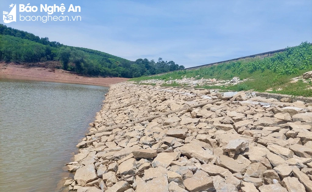 Más de 100 embalses en Nghe An están a menos del 50% de su capacidad y corren el riesgo de sufrir escasez de agua.