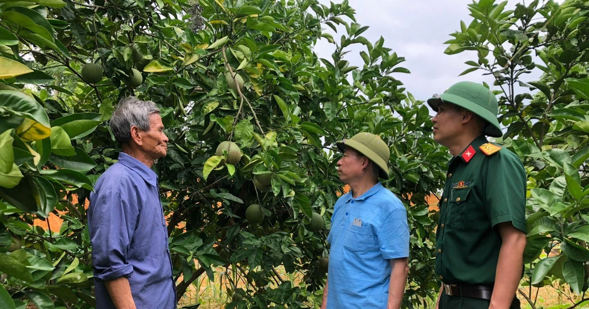 Nhân lên những điển hình cựu chiến binh gương mẫu